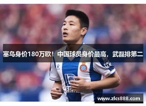 塞鸟身价180万欧！中国球员身价最高，武磊排第二