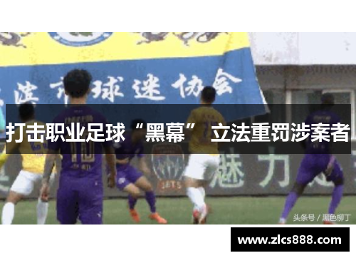 打击职业足球“黑幕” 立法重罚涉案者