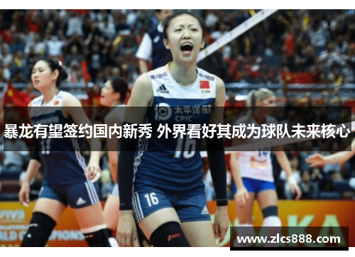 暴龙有望签约国内新秀 外界看好其成为球队未来核心